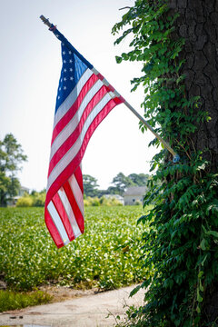 Knotts Island Flag 2