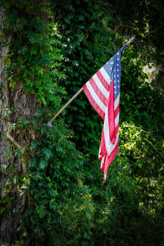 Knotts Island Flag