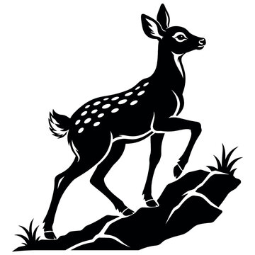 Mountain deer climbing a gentle rocky slope with raised foreleg and balanced posture