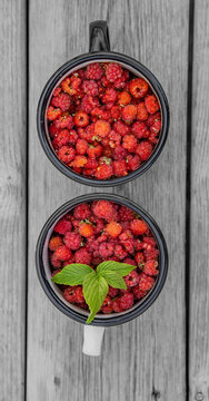 Wilde Himbeeren in einem Becher