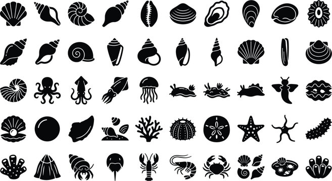 Marine Shellfish Mollusk and Ocean Invertebrate Solid Glyph Icon Collection Featuring Shells Clams Octopus Squid Sea Slugs Starfish Crabs Lobsters Pearls and Tide Pool Life
