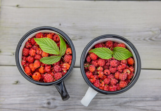 Wilde Himbeeren in einem Becher