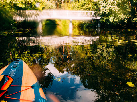 Kayaking on the river near a bridge surrounded by trees