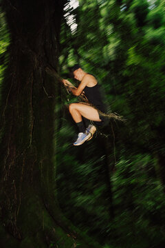 Person Climbing a Tree in a Dense Forest During Daylight Hours