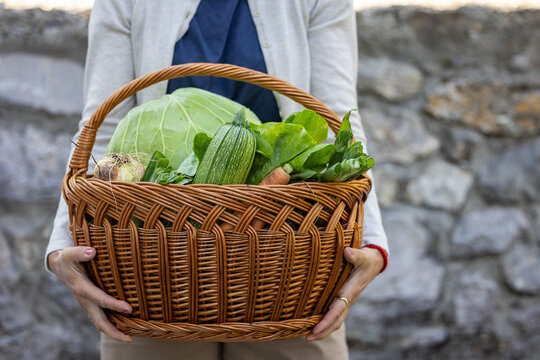 Basket of Fresh Vegetables
