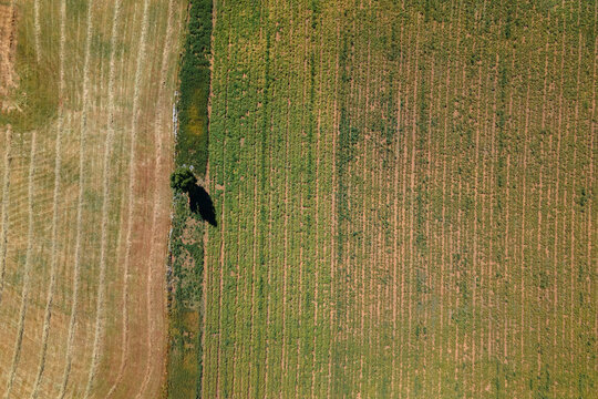 Aerial View of Two Farm Fields