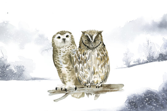 Pair of owls in a winter wonderland watercolor style vector