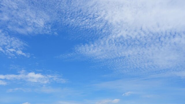 A blue sky cloud timelapse video featuring rippled cirrocumulus and scattered altocumulus clouds moving across a sunlit blue sky, revealing changing air patterns, weather, and serene nature. 4k.
