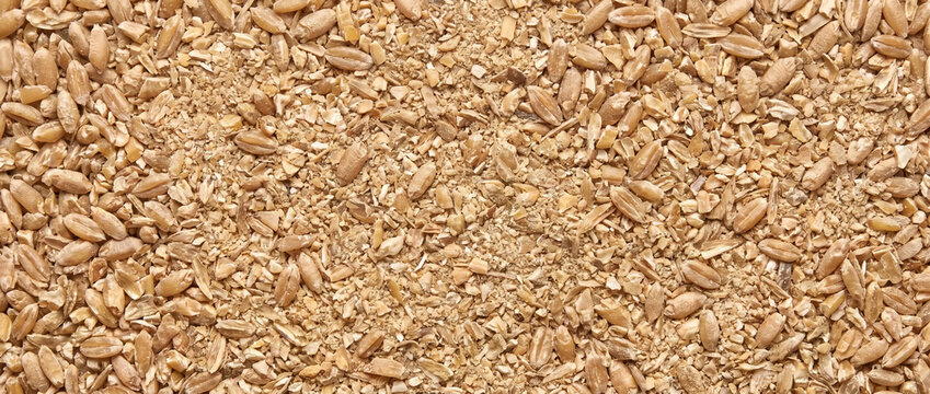 Wheat grain livestock feed texture. Overhead view of crushed cereal grains and chaff