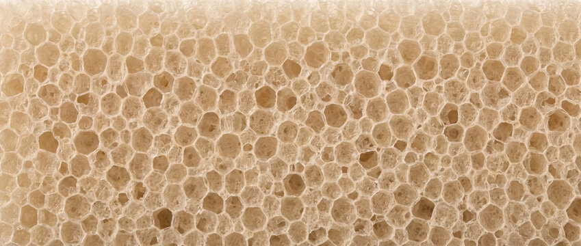 Closed cell foam texture cross section close up. Porous cellular sponge material background