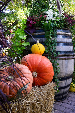 autumn harvest display with pumpkins, flowers, and wooden barrel in outdoor garden setting