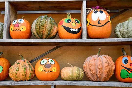 decorated pumpkins with funny faces arranged on wooden shelves for halloween celebration