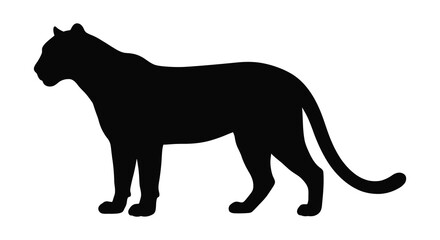 Fototapeta premium Cougar silhouette against a white background depicts a feline predator