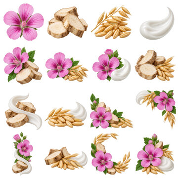 Mallow flower, marshmallow root and oat cosmetic ingredients set
