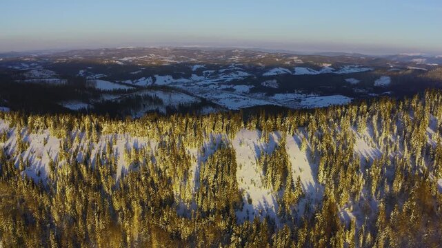 High snowy mountain covered with evergreen fir trees on a sunny cold day