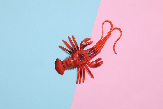 Toy lobster on a pink blue background
