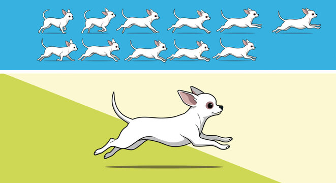 Cute white chihuahua dog running animation frames and detailed character illustration on colorful background.