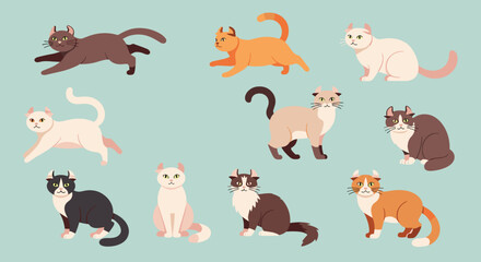 Obraz premium Set of ten cute American Curl cats in various coat colors and playful poses isolated on a light blue backdrop.