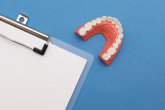 Dental visit, checkup, dental care concept. Clipboard with a jaw model and a toothbrush on a blue background.