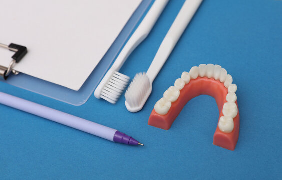 Dental visit, checkup, dental care concept. Clipboard with a jaw model and a toothbrush on a blue background.