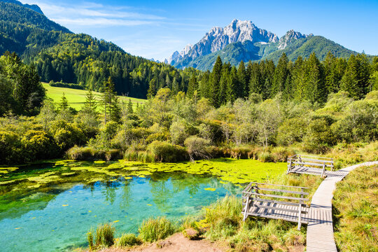 Wooden boardwalk trail leading along the emerald spring waters of Zelenci Nature Reserve near Kranjska Gora, Slovenia