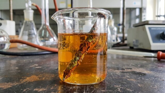 Chemical Oxidation Reaction on a Metal Nail in Acid