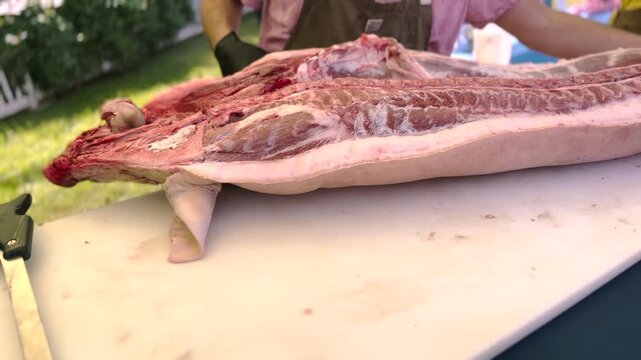Professional butcher using a saw to carefully cut fresh raw meat carcass in a kitchen or processing facility, ideal for culinary and food production projects.
