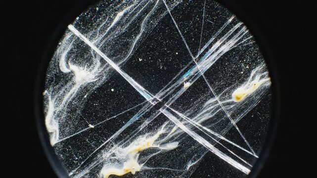 Microscopic view of crisscrossing fibers and particles, showcasing scientific intricacy against black backdrop
