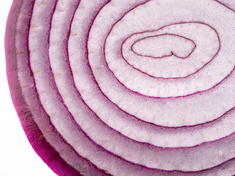 Fresh organic red onion slice macro texture background with vibrant layers