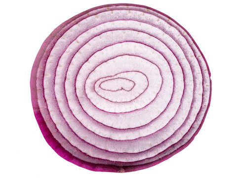 Detailed cross section view of a raw purple onion showing inner rings on white background