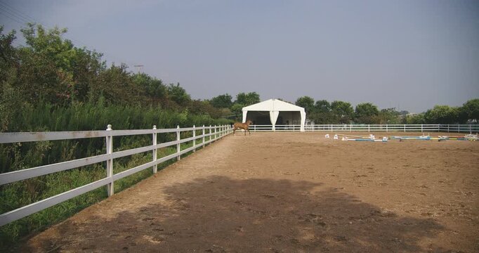 Outdoor Equestrian Riding Arena with Horse Jumping Obstacles and White Fence