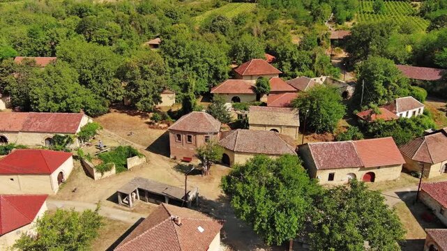 Aerial around view of old rustic vintage houses with wine cellars in Rogljevacke pivnice in Negotin region of Serbia, 4k