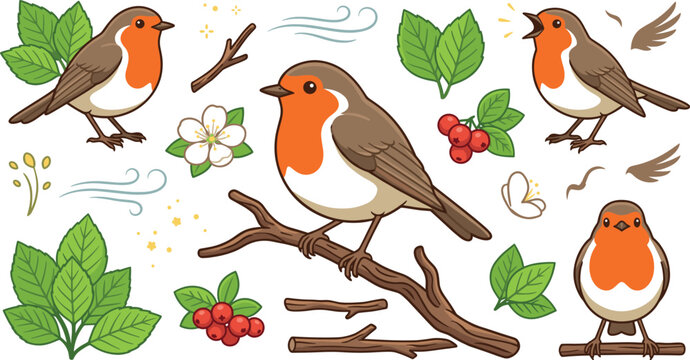 Robin bird vector cartoon illustration set featuring orange breast songbirds tree branches green leaves berries on white background