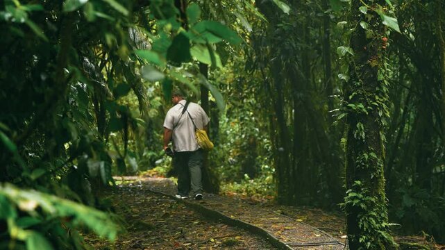 Latino man hiking through a lush, green tropical rainforest. A male tourist walking along a pathway surrounded by dense jungle vegetation