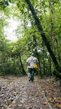 Latino park ranger walking on a trail in the lush rainforest of Arenal Volcano National Park. Man exploring Costa Rican jungle