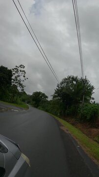 POV from a car window driving on a wet asphalt road through the lush tropical forest in Costa Rica. Cloudy sky after a rainstorm