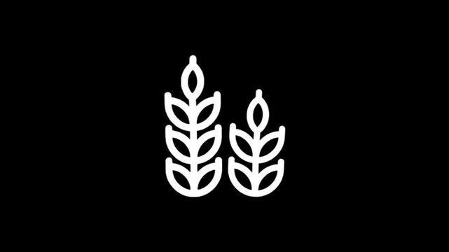 Minimalist white wheat stalks on a black background