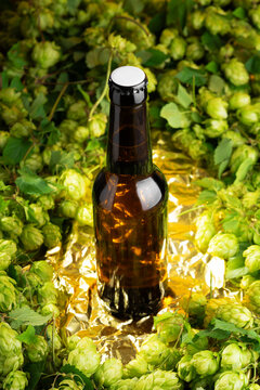 Brown Glass Beer Bottle Surrounded by Fresh Hops Flowers on Golden Foil Surface