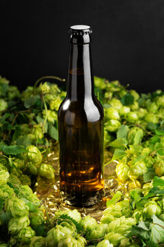 Amber glass bottle of beer surrounded by fresh green hops on textured golden surface