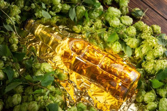 Glass bottle of golden beverage surrounded by fresh green hops on crumpled gold foil