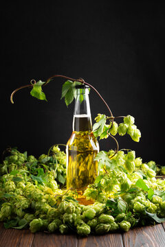 Clear glass bottle with golden liquid surrounded by fresh green hop cones on rustic wooden table