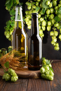 Two bottles of beer displayed with fresh hops and barley ingredients on a wooden table