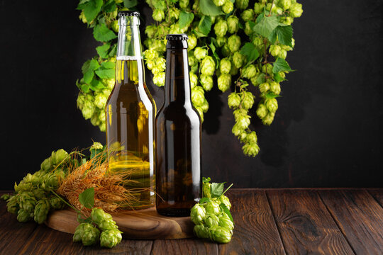 Two beer bottles sit on a wooden surface with fresh hops and wheat stalks