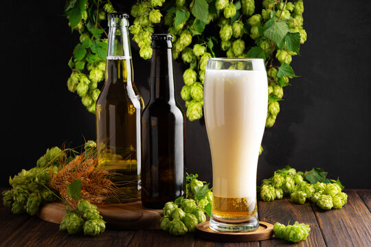 Two bottles of beer and a full glass of refreshing beverage with fresh hops and barley on a wooden table