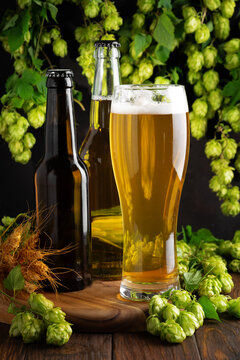 Golden Beer Refreshment in Glass Bottle and Pint with Hops and Wheat on Wooden Surface