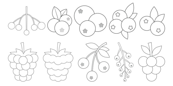 Blueberry icon. Black line currant symbol. Bilberry vector illustration.