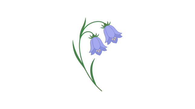 Bluebell Flowers Flat Vector Illustration