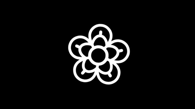Elegant white flower graphic animation on a black background