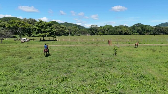 Horseman riding a powerful brown stallion across a vast green pasture. Another horse running freely in the background under a blue sky