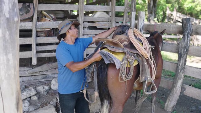 Hispanic cowboy preparing his brown horse for a ride. The man is grooming the animal's tail and then adjusting the leather saddle